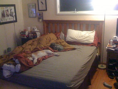 Place for Moi Place for Moi