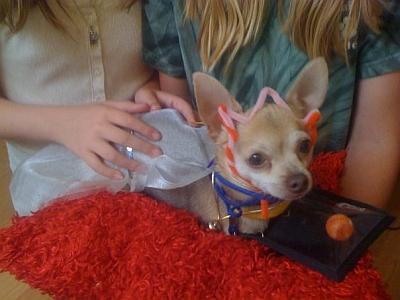 Frankie Dresses Up Frankie Dresses Up