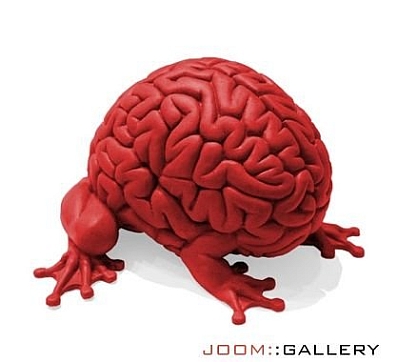 BrainFrog BrainFrog