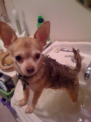 Frankie Bath Frankie Bath