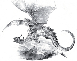 dragon