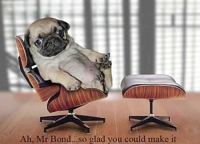 Pug Chair