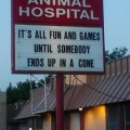 It's all fun and games until somebody ends up in a cone